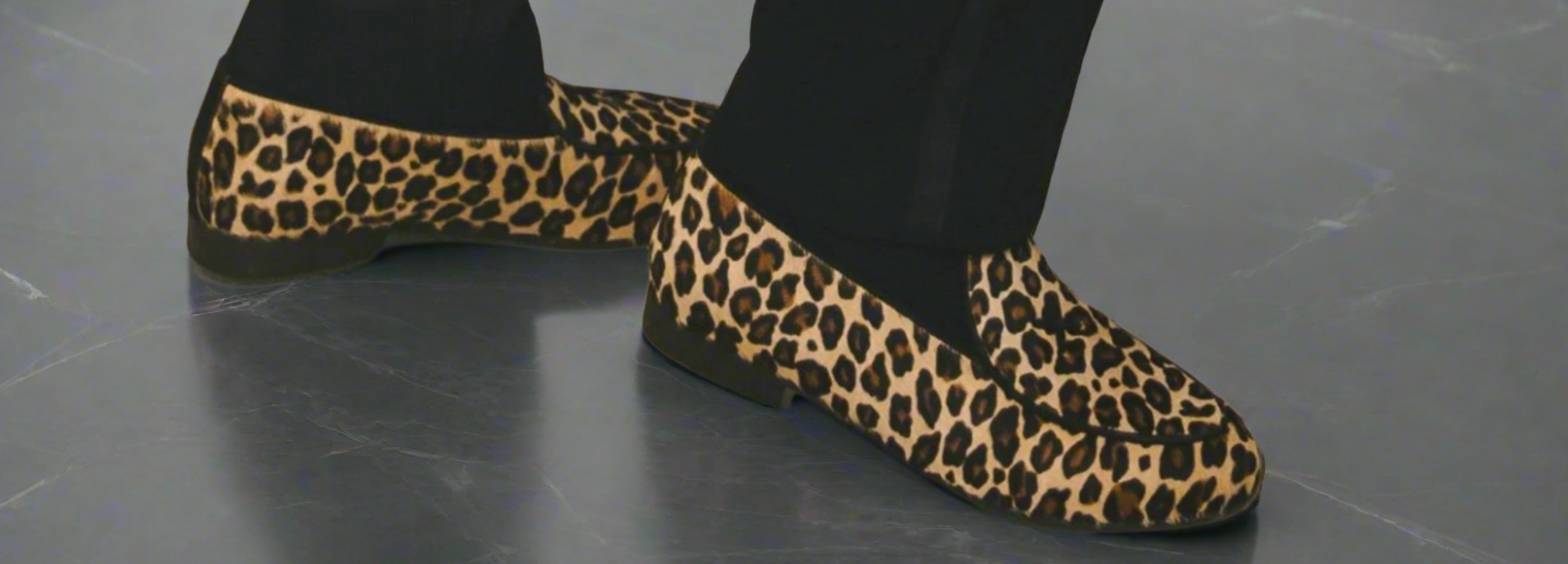 The Safari Collection