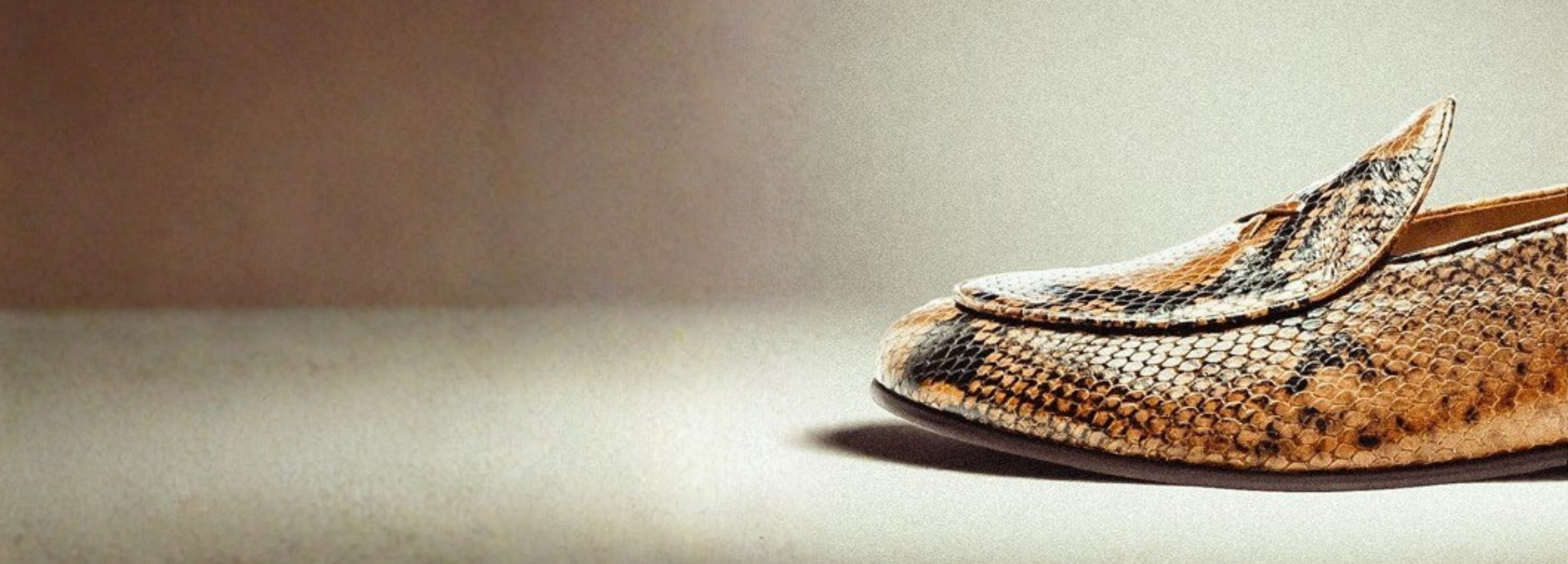 The Safari Collection