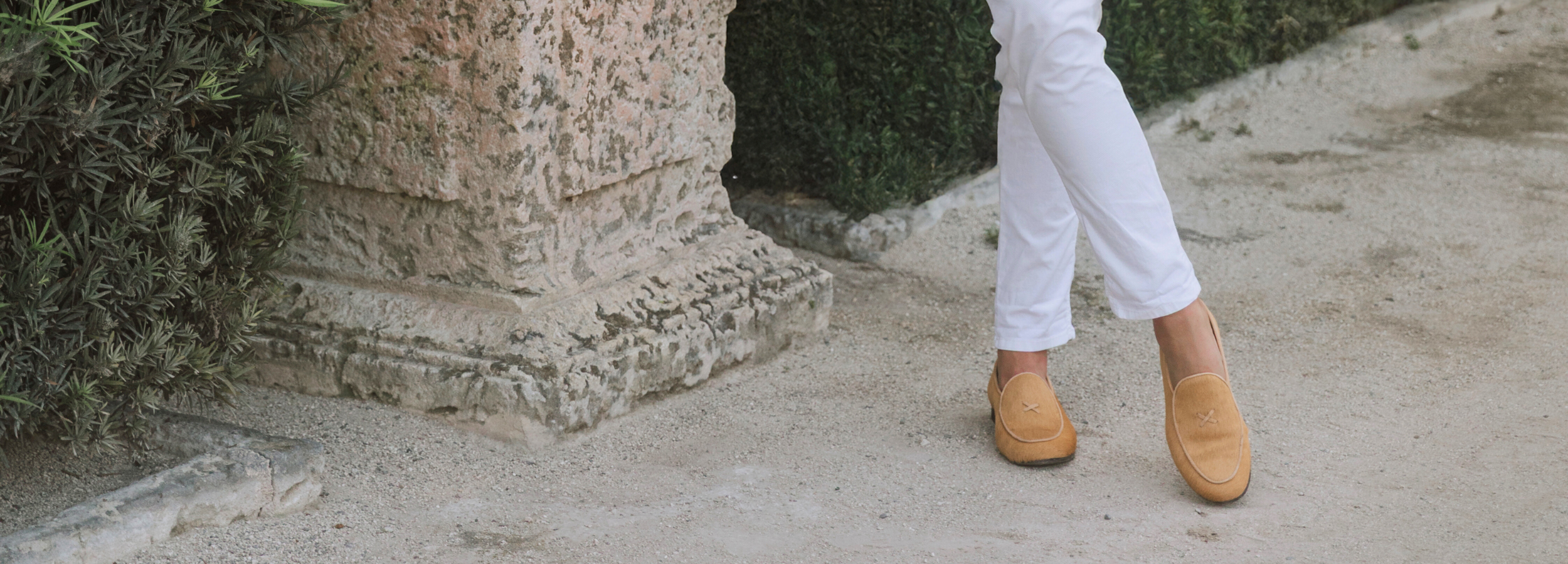 The Exotics Collection