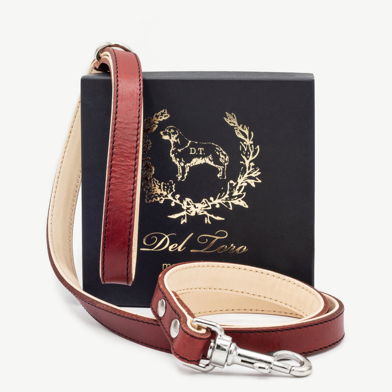 Red Leather Dog Collar + Leash Kit