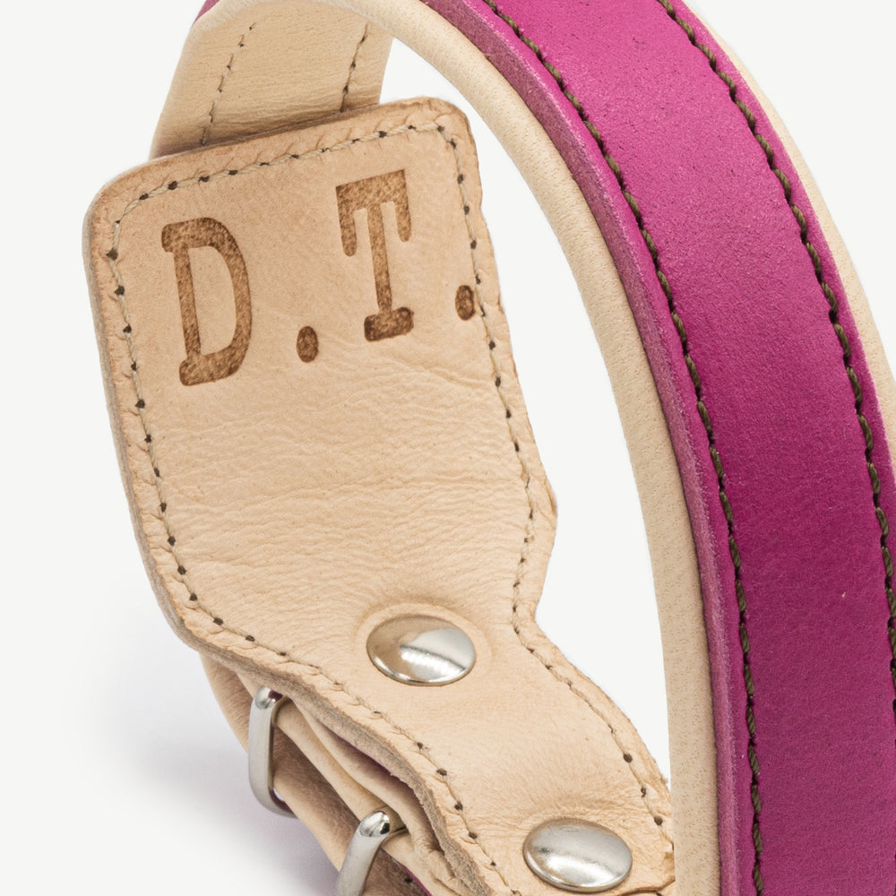 Pink Leather Dog Collar + Leash Kit