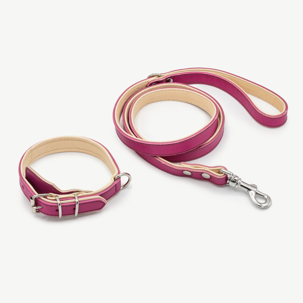 Pink Leather Dog Collar + Leash Kit
